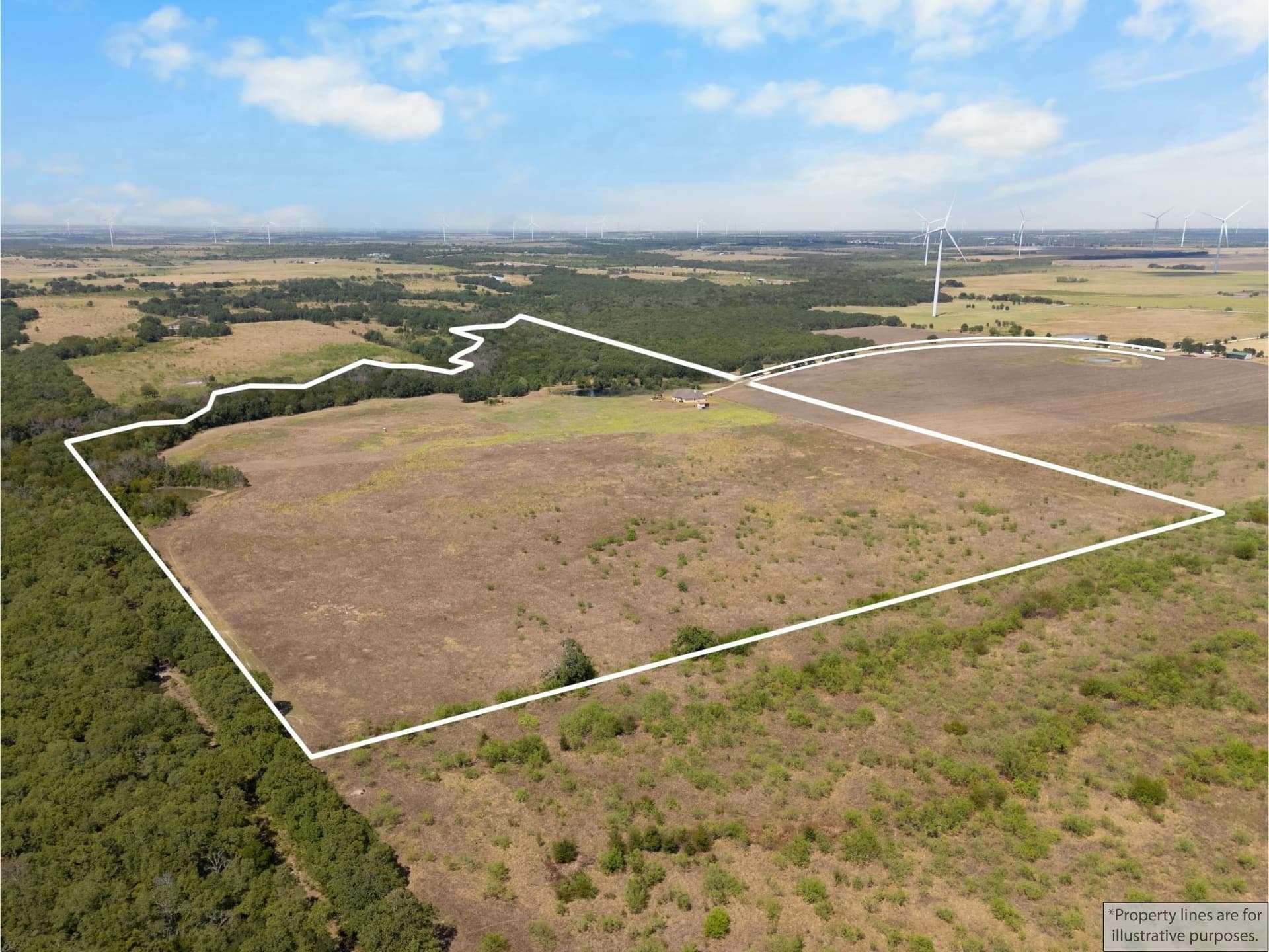 64 acres in Limestone County - photo 4