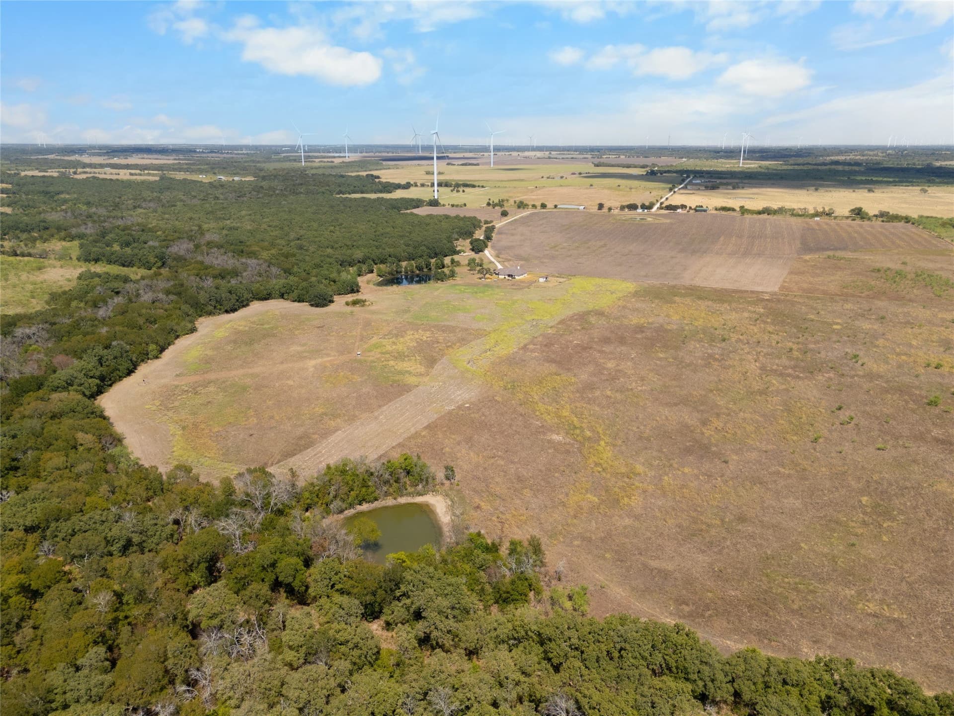 64 acres in Limestone County - photo 8