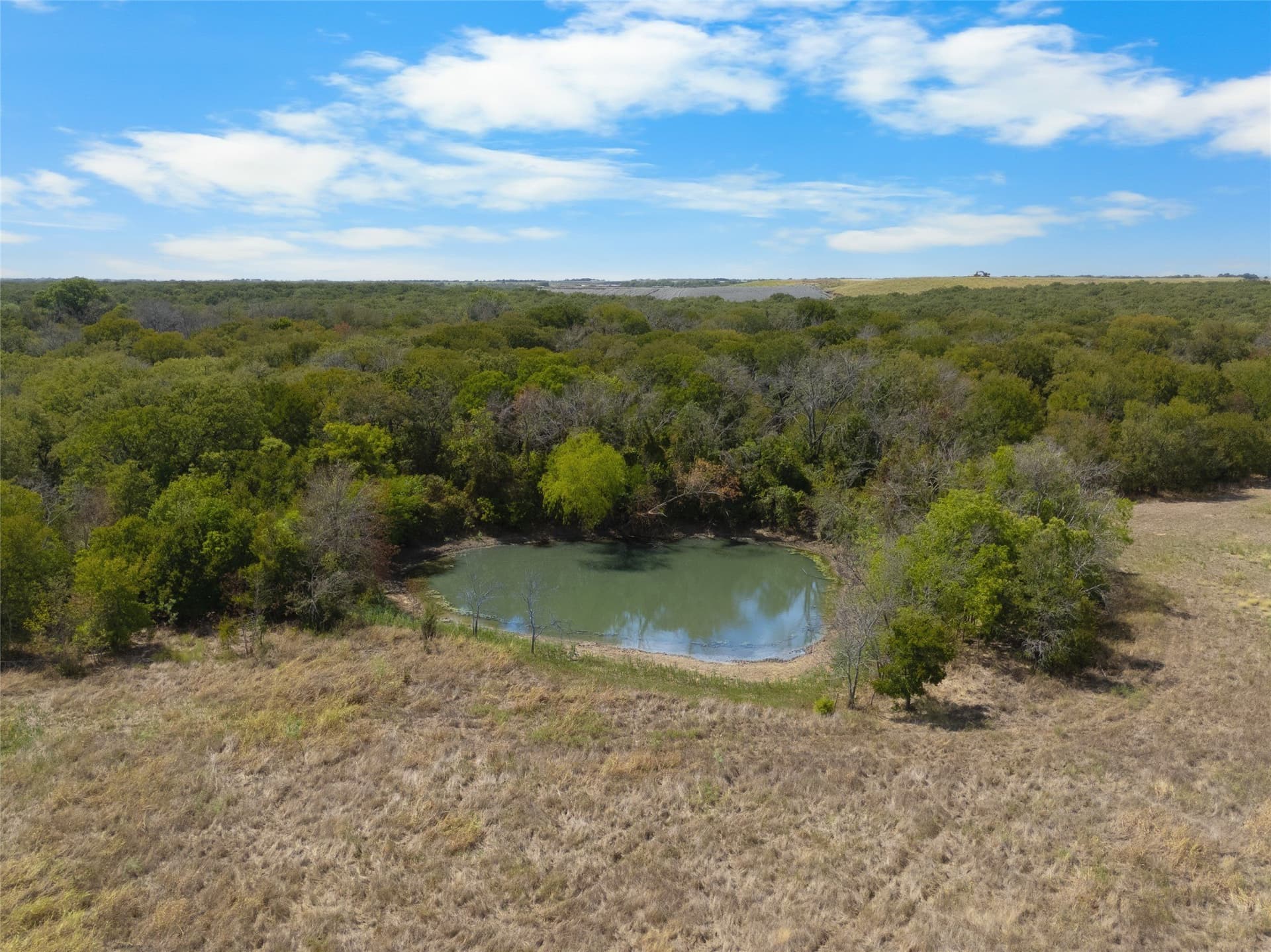 64 acres in Limestone County - photo 9