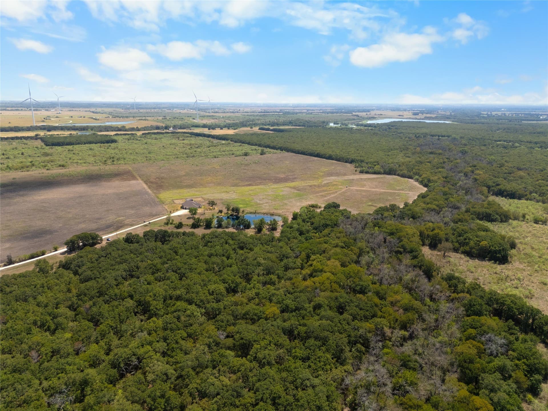64 acres in Limestone County - photo 7