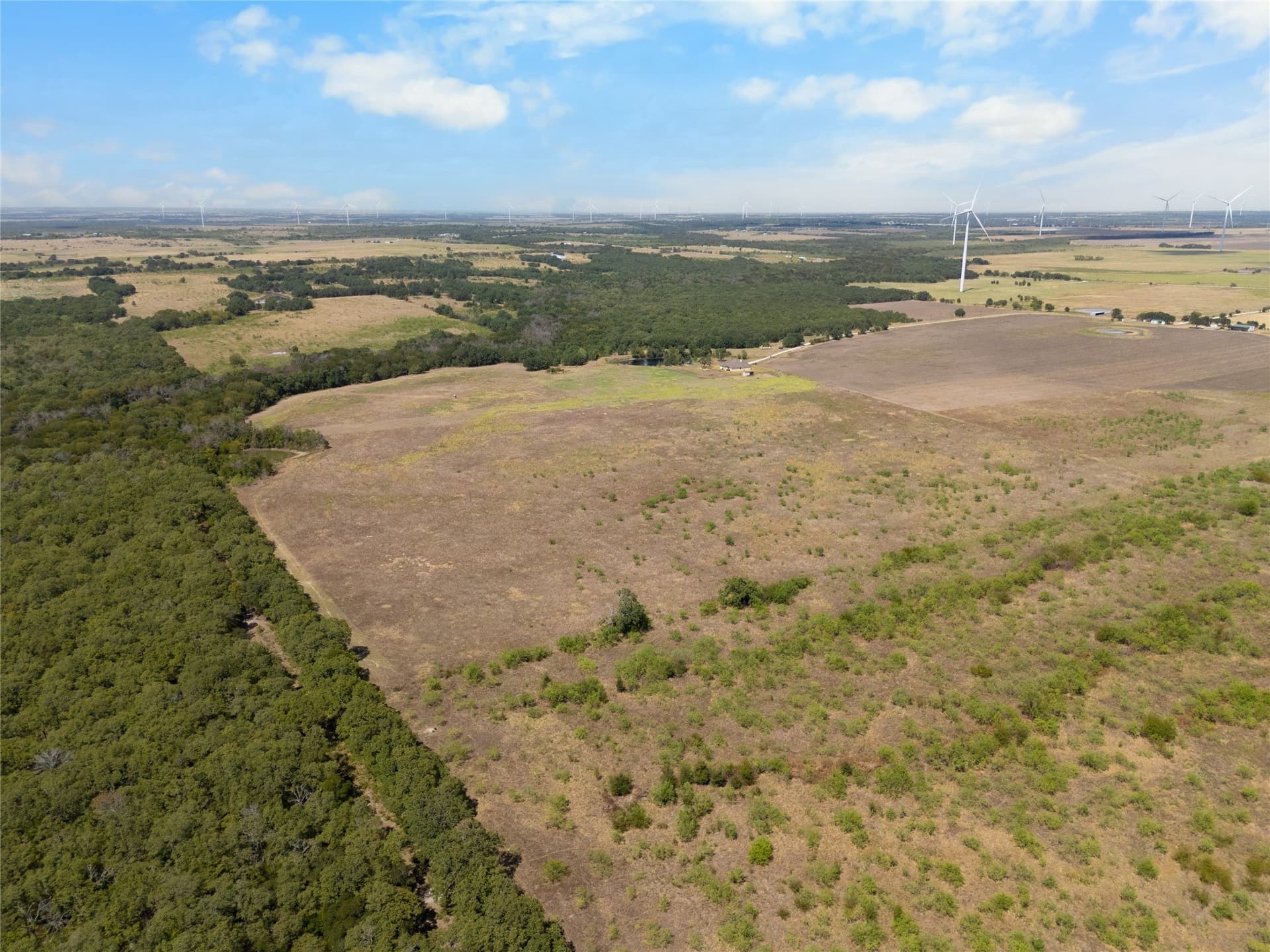 64 acres in Limestone County - photo 10