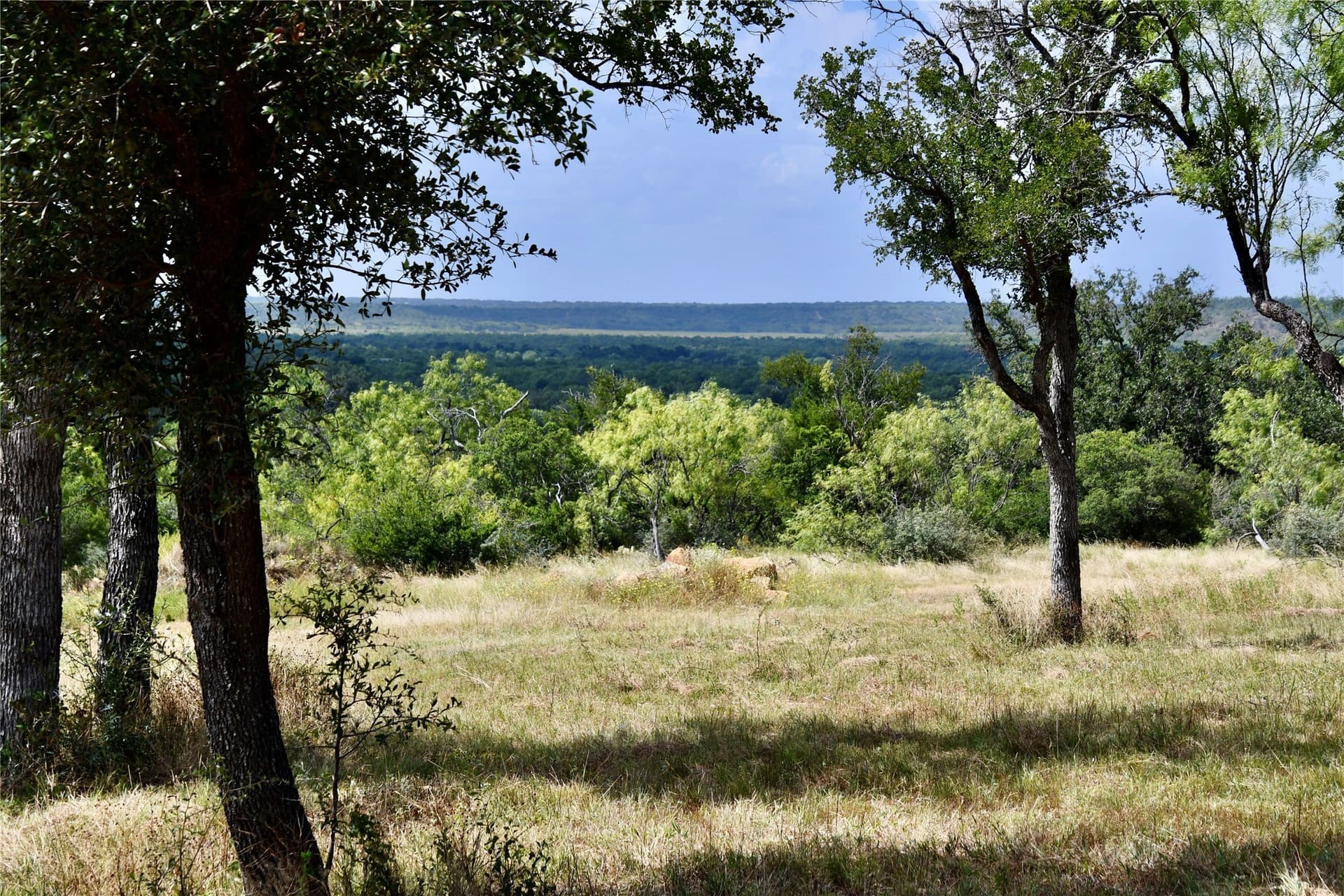76.6 acres in San Saba County - photo 6