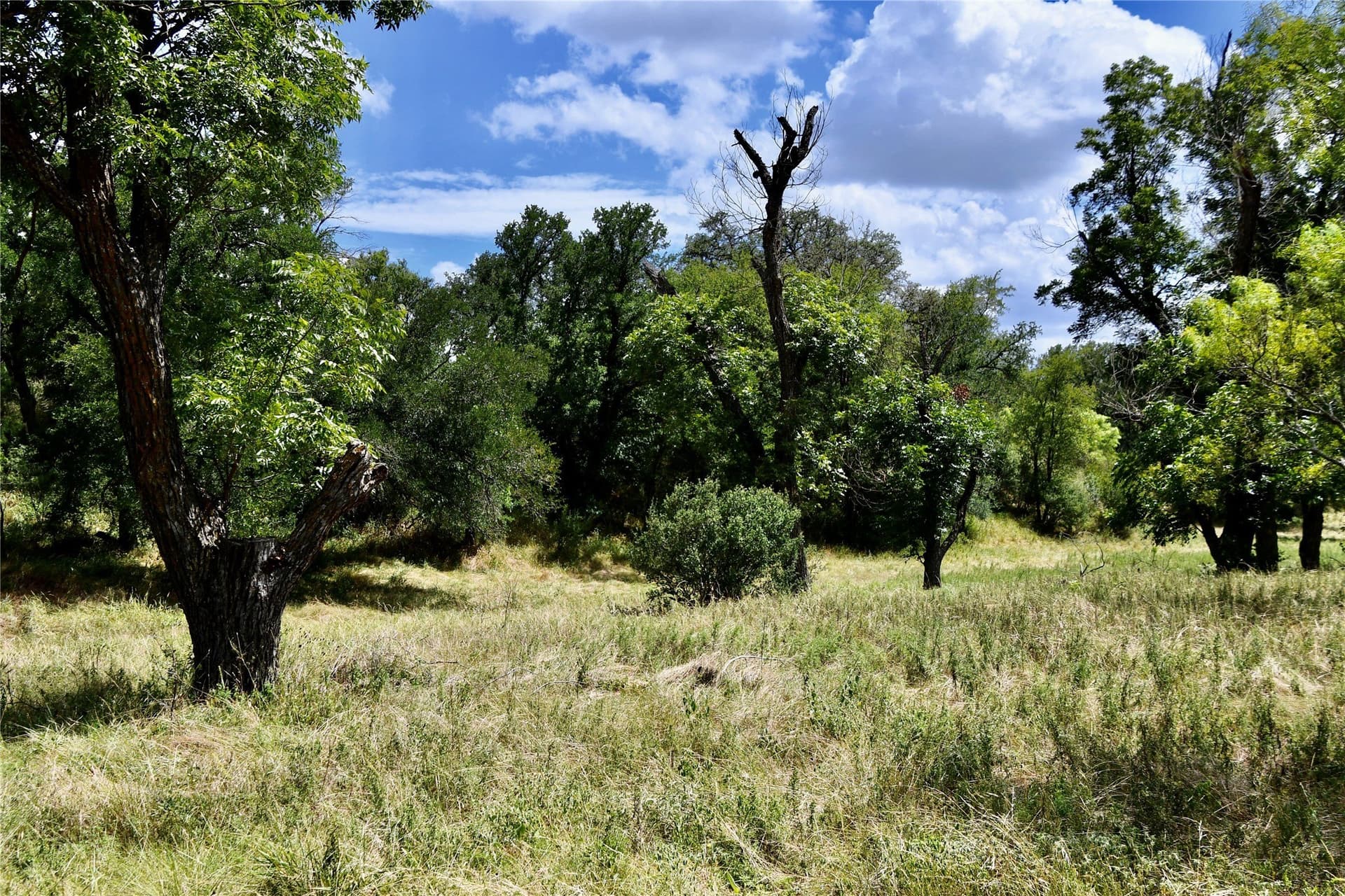 76.6 acres in San Saba County - photo 19