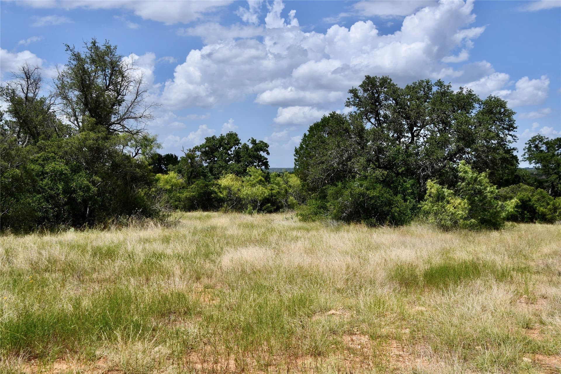 76.6 acres in San Saba County - photo 12