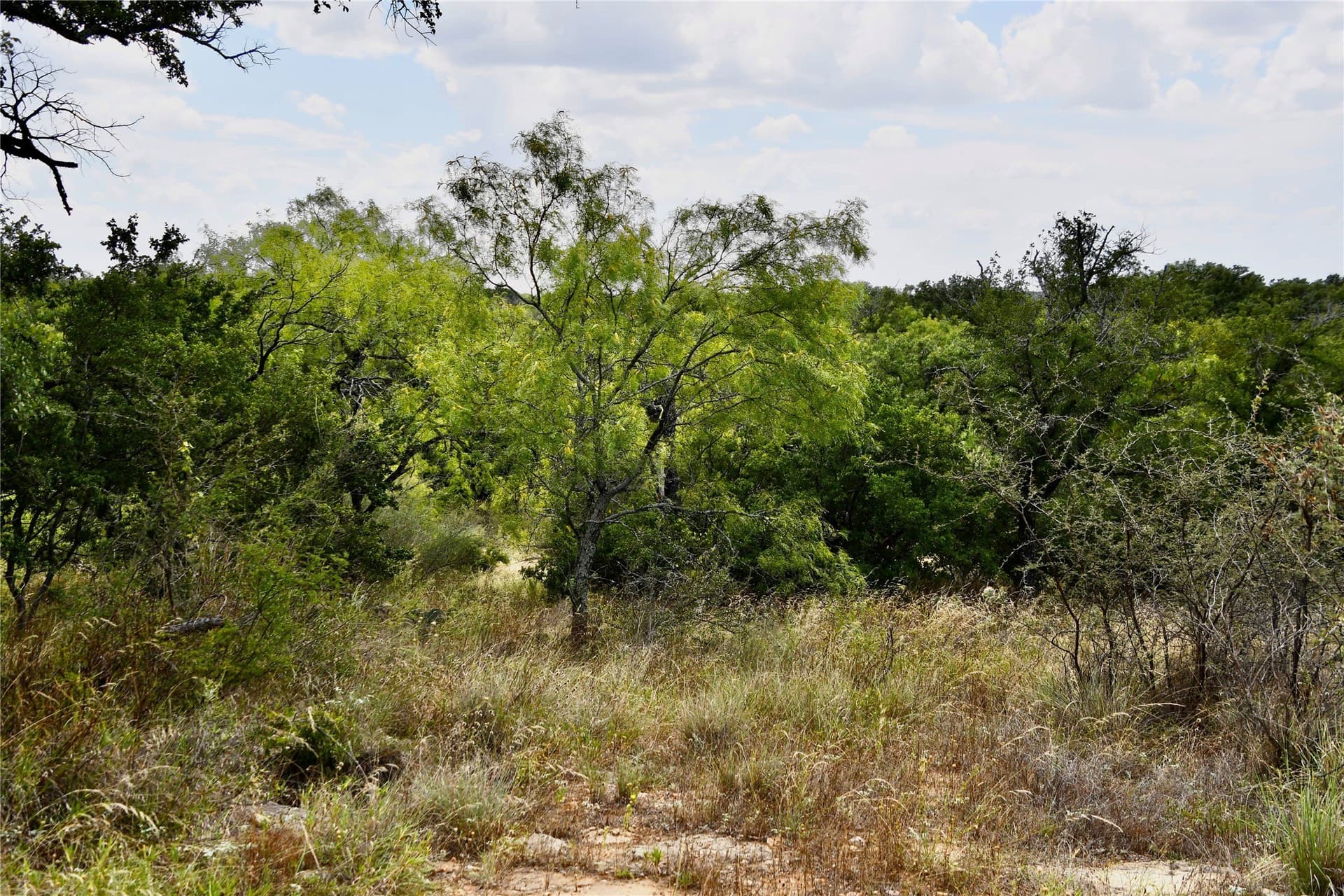 76.6 acres in San Saba County - photo 15