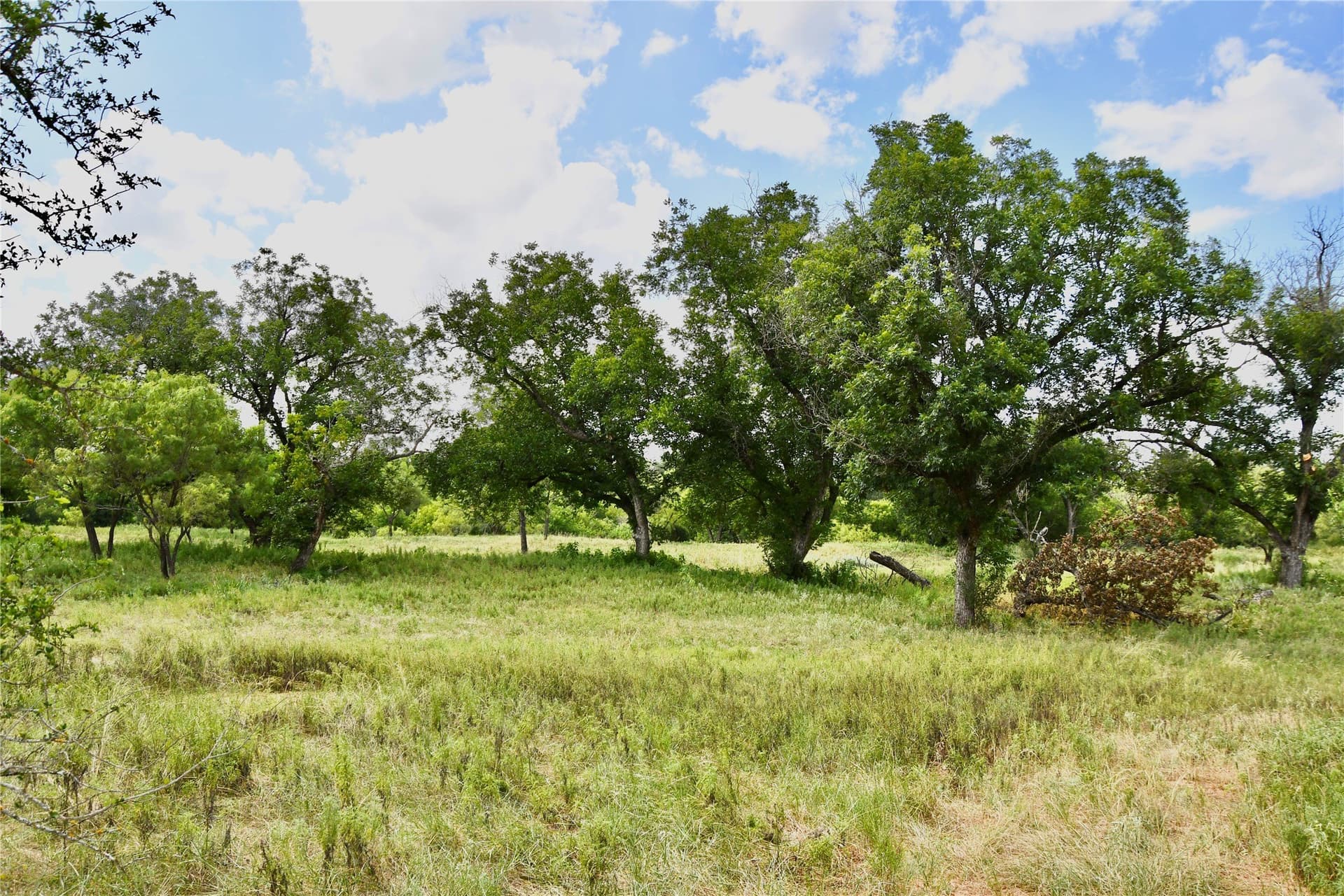 76.6 acres in San Saba County - photo 18