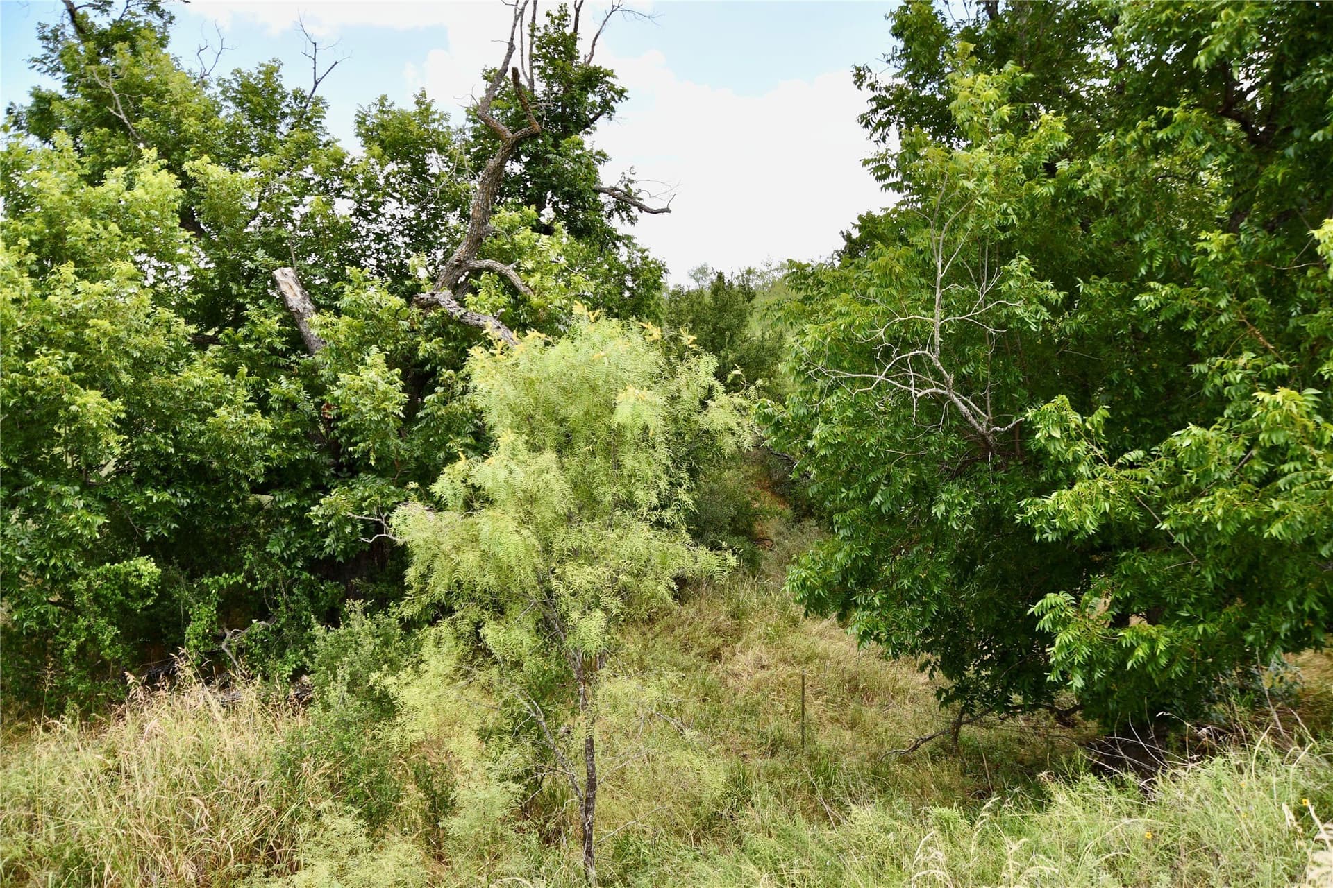 76.6 acres in San Saba County - photo 20