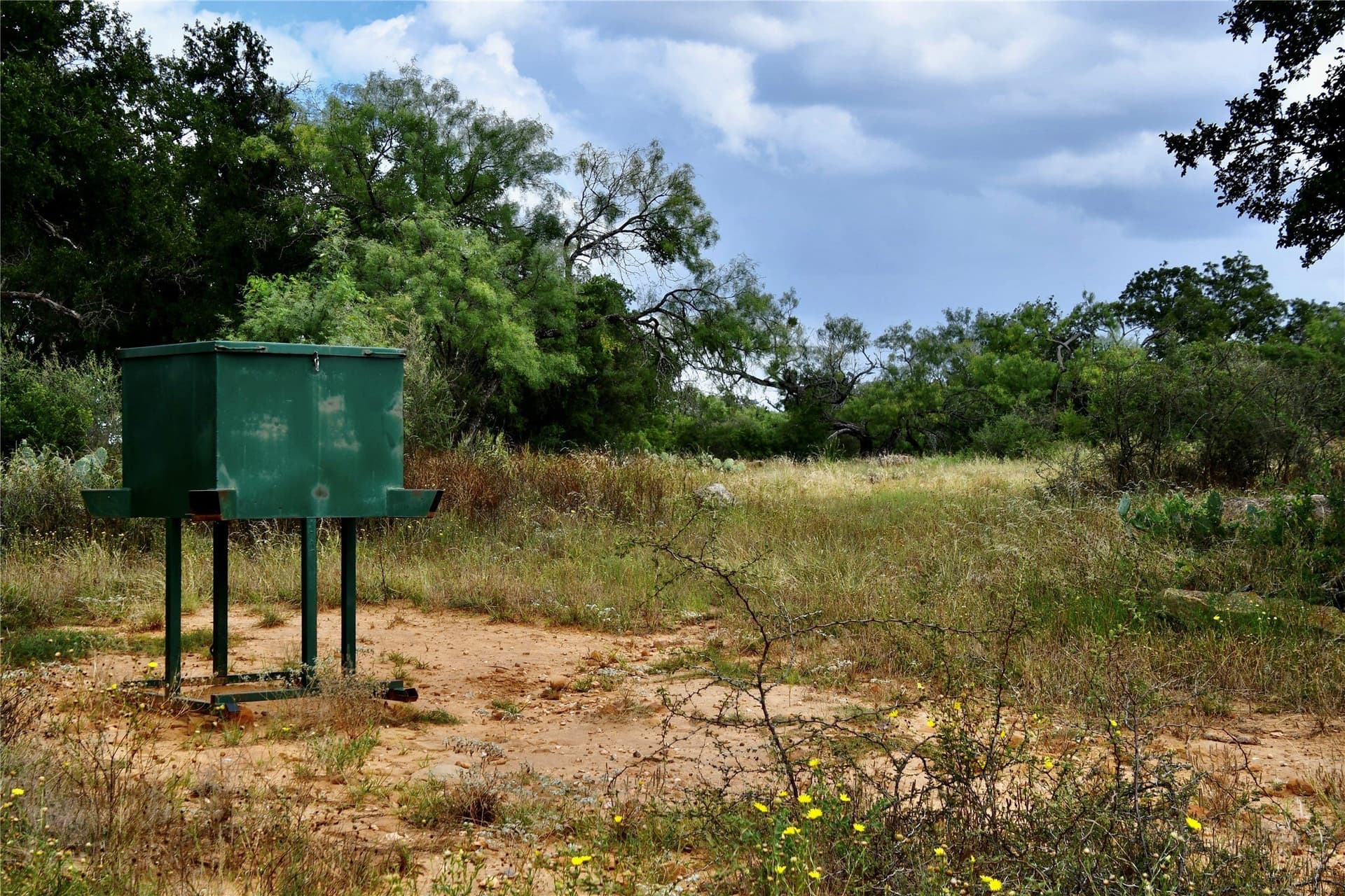 76.6 acres in San Saba County - photo 16