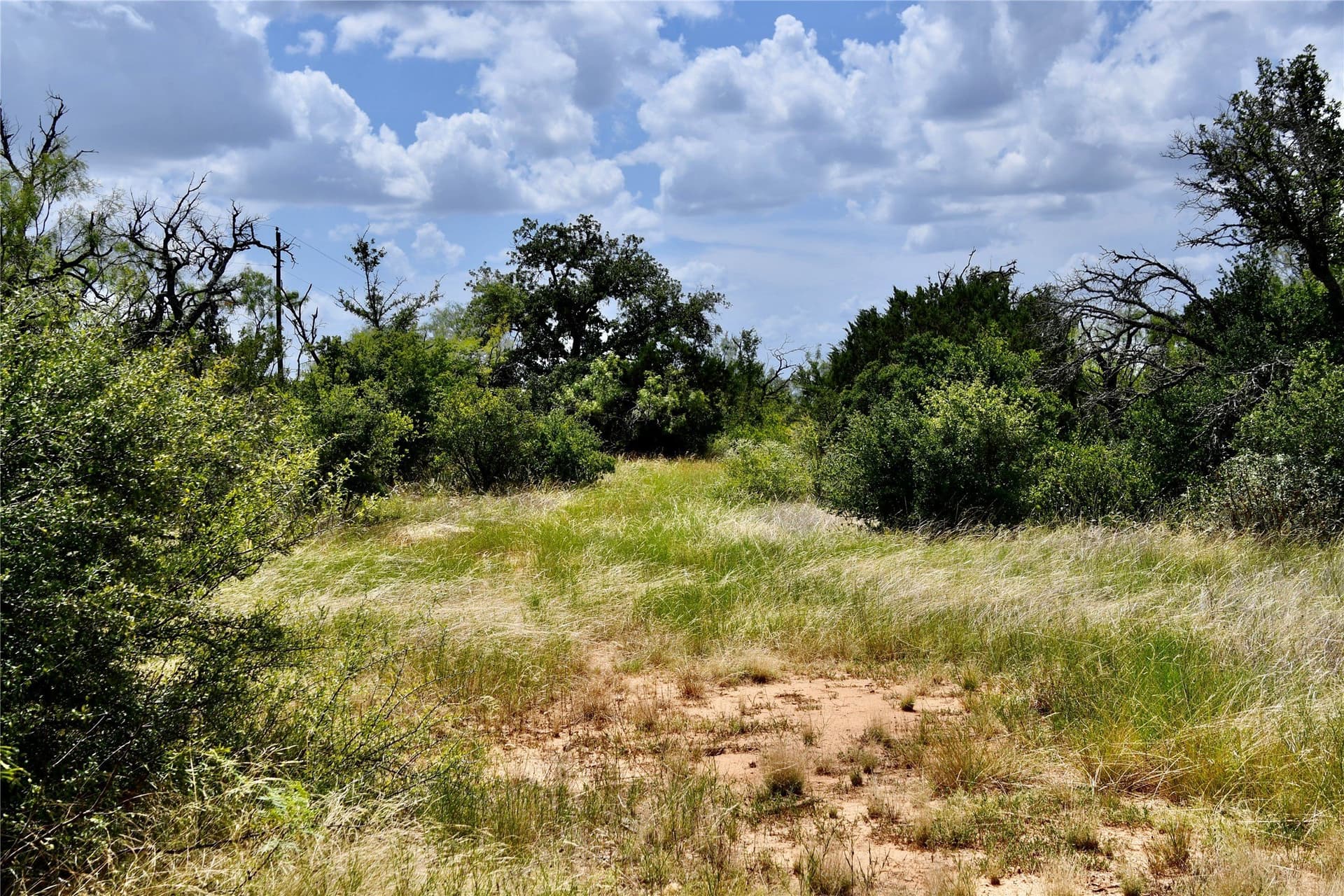 76.6 acres in San Saba County - photo 13