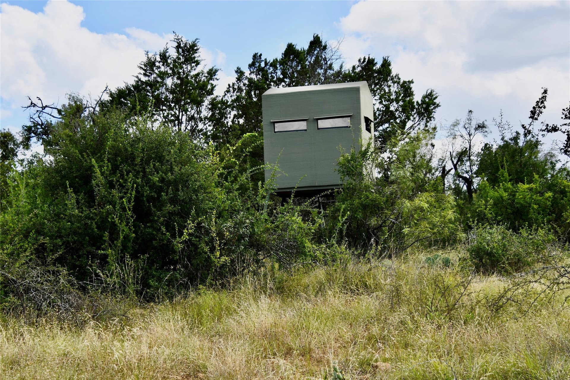 76.6 acres in San Saba County - photo 17