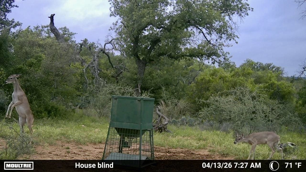 76.6 acres in San Saba County - photo 24