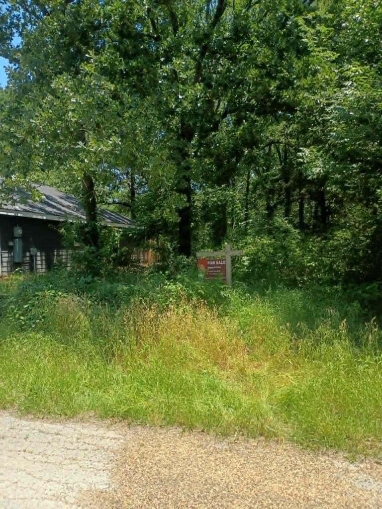 0.24 acres in Henderson County gallery image 2