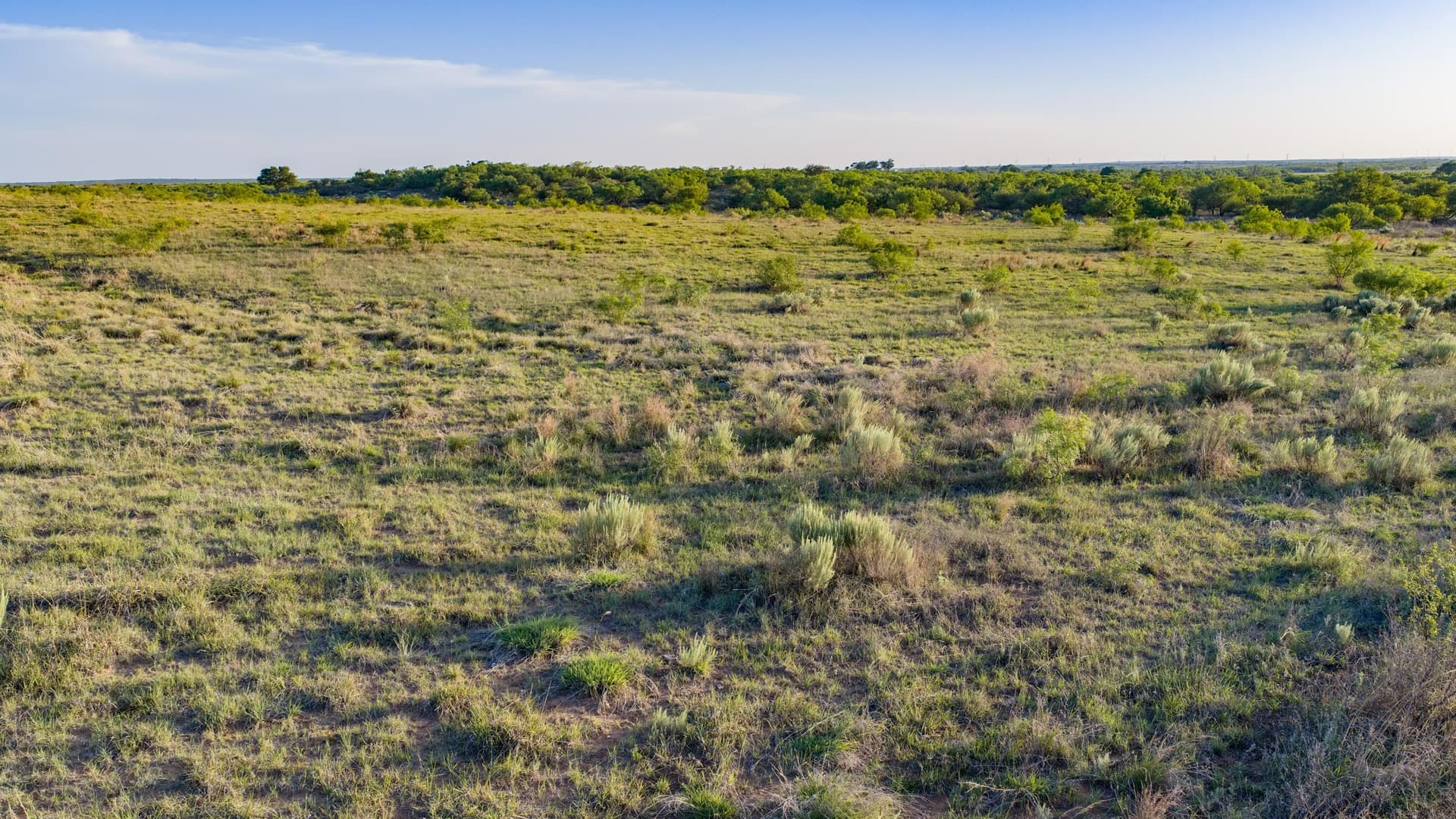 0 acres in Dickens County - photo 10