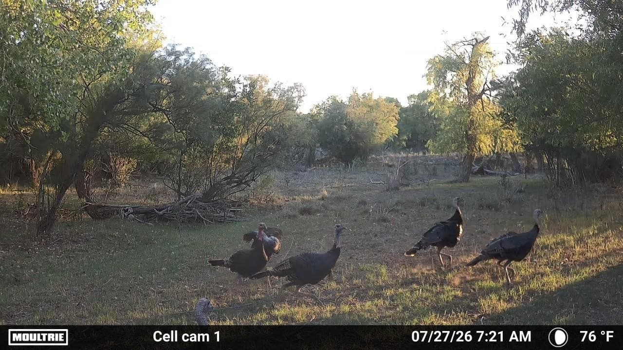 0 acres in Dickens County - photo 16