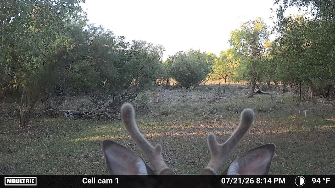 0 acres in Dickens County - photo 19