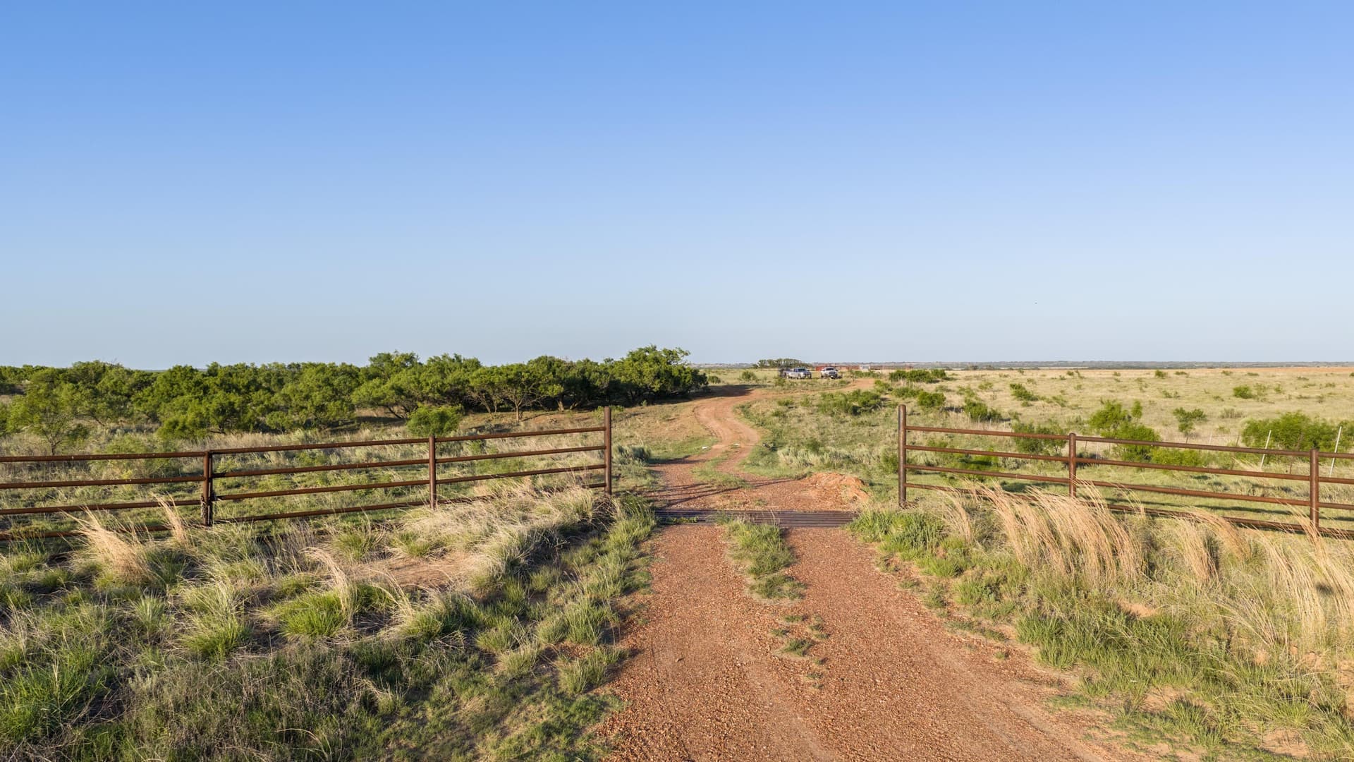 0 acres in Dickens County featured view