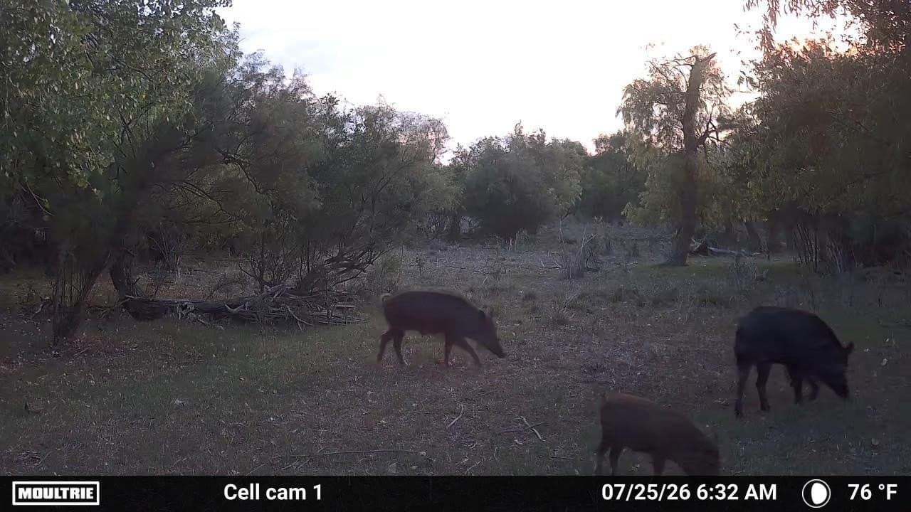 0 acres in Dickens County - photo 18