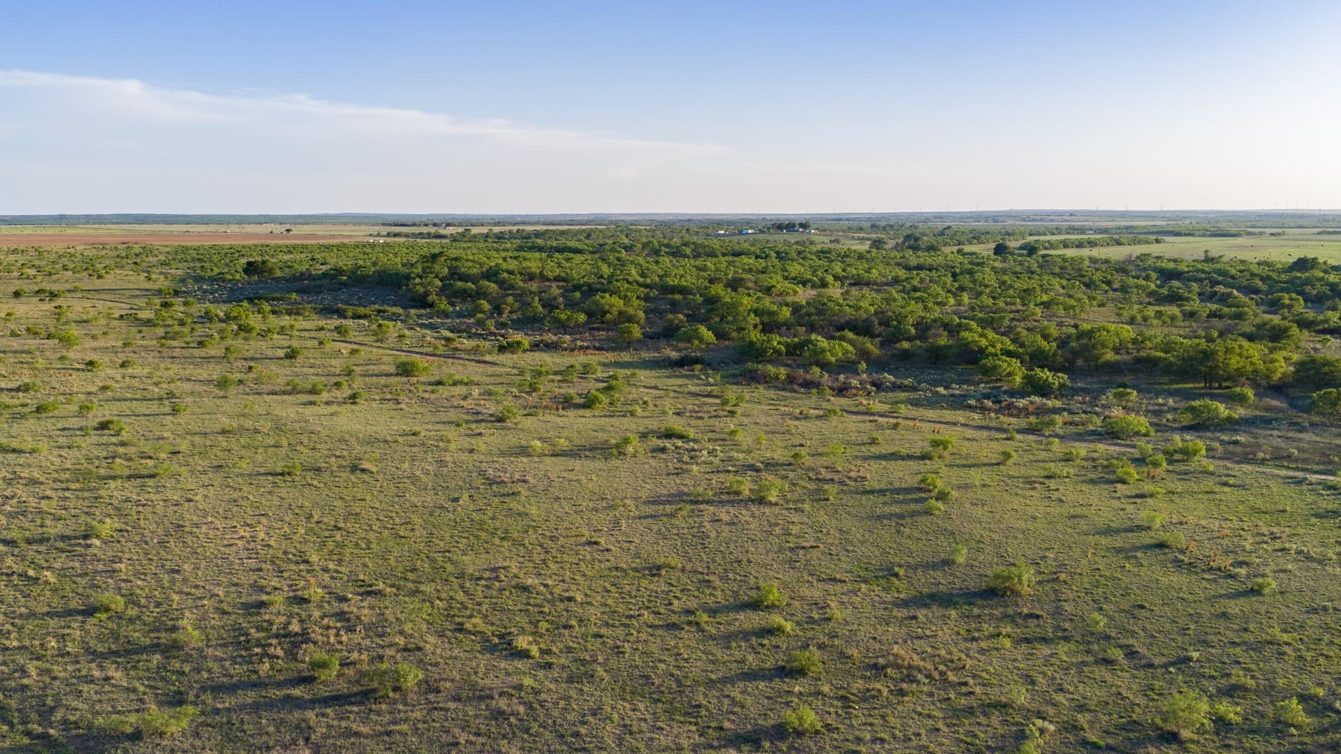 0 acres in Dickens County - photo 9