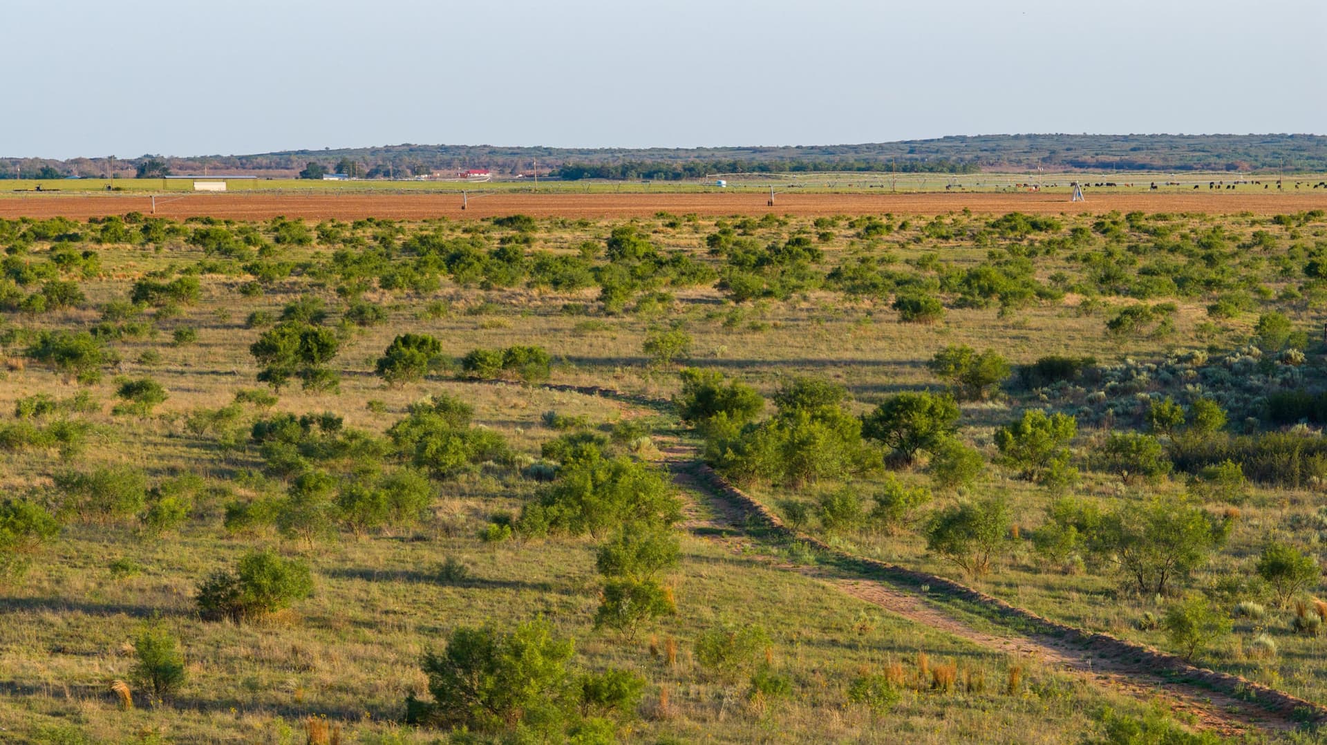 0 acres in Dickens County - photo 11