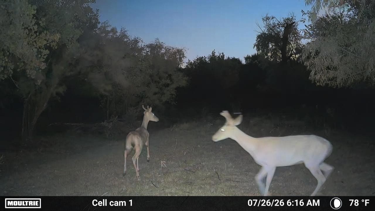 0 acres in Dickens County - photo 17