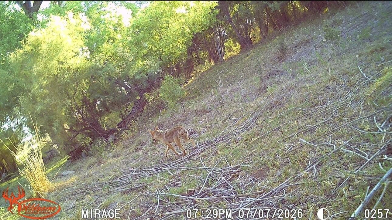0 acres in Dickens County - photo 14