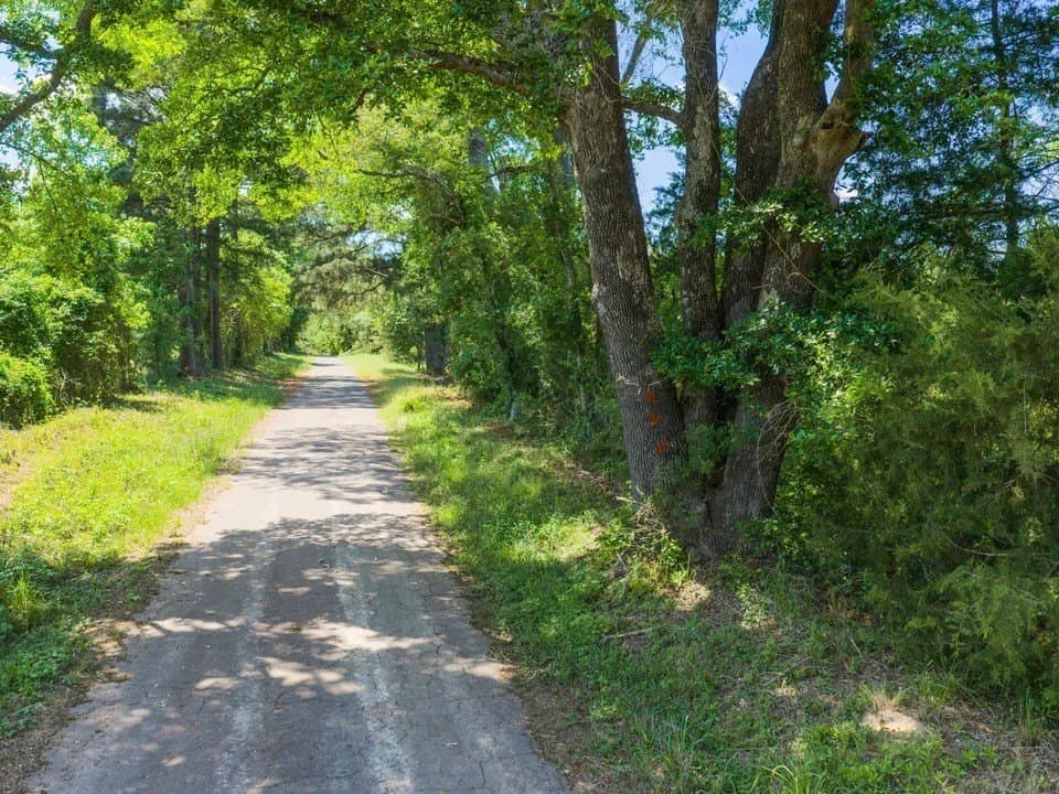 10.37 acres in Upshur County - photo 3