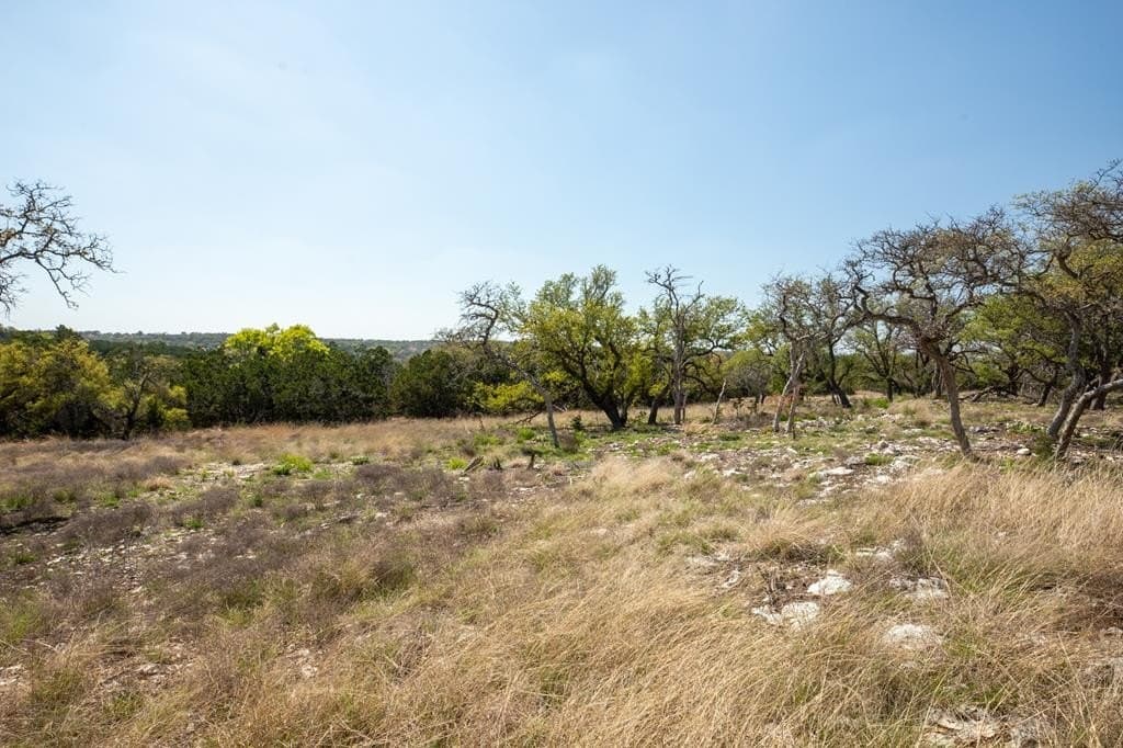 10.03 acres in Gillespie County - photo 10