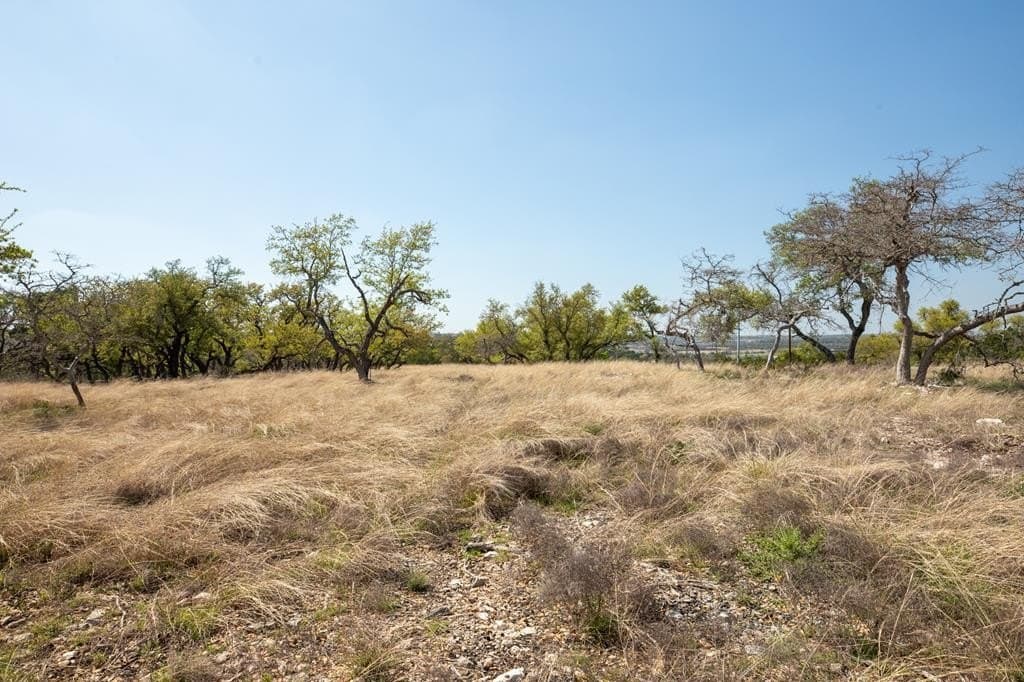 10.03 acres in Gillespie County - photo 9