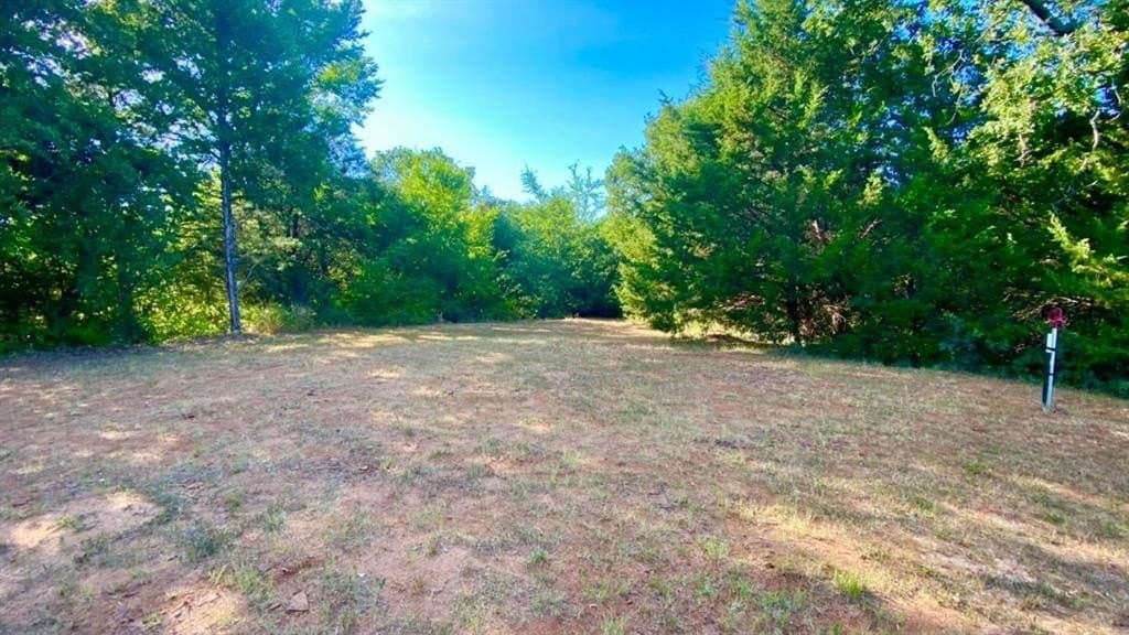17.59 acres in Grayson County gallery image 3
