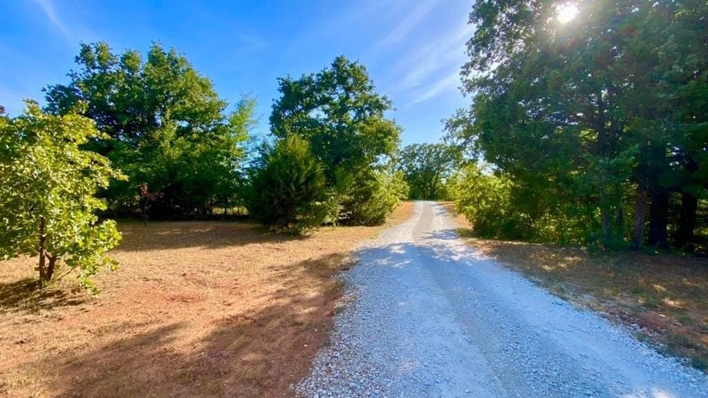 17.59 acres in Grayson County gallery image 2