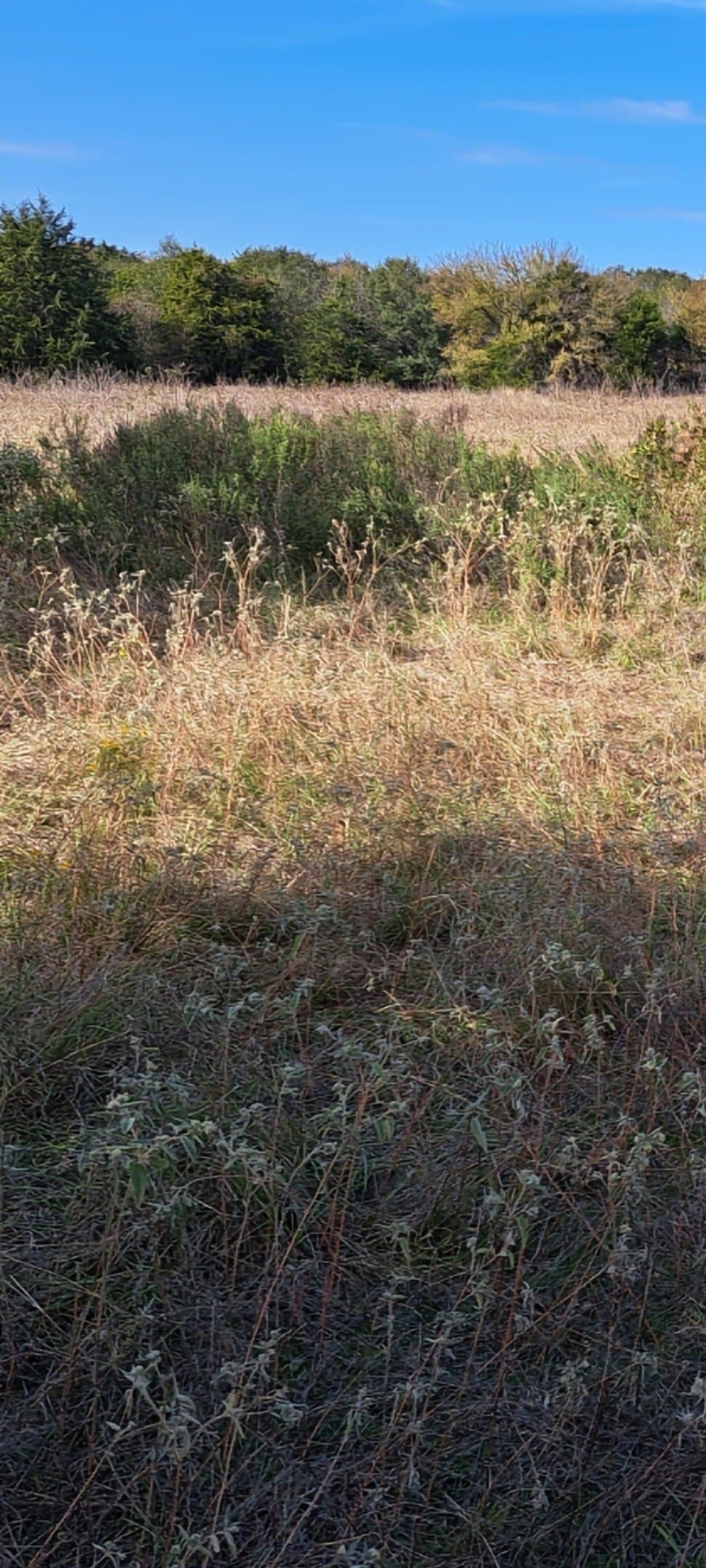 32.58 acres in Limestone County - photo 19