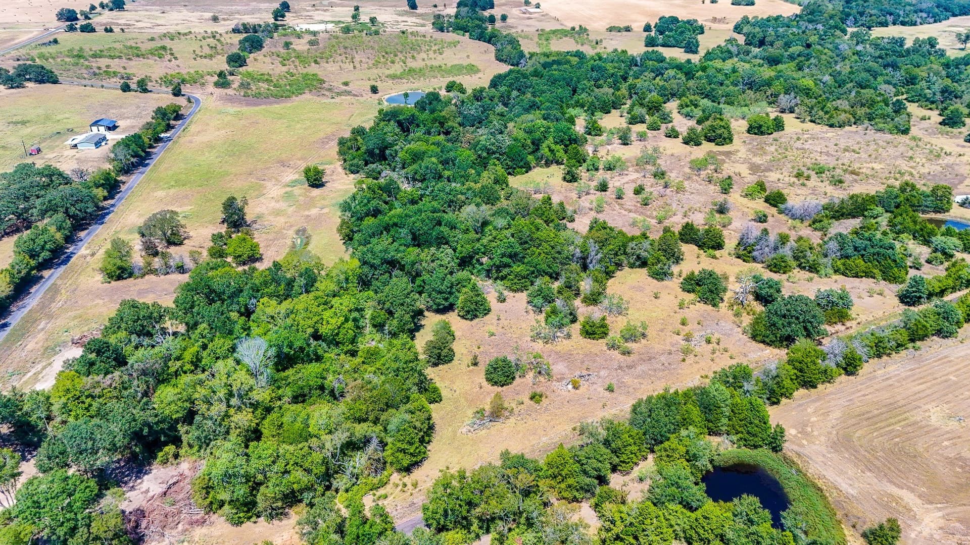 32.58 acres in Limestone County - photo 8