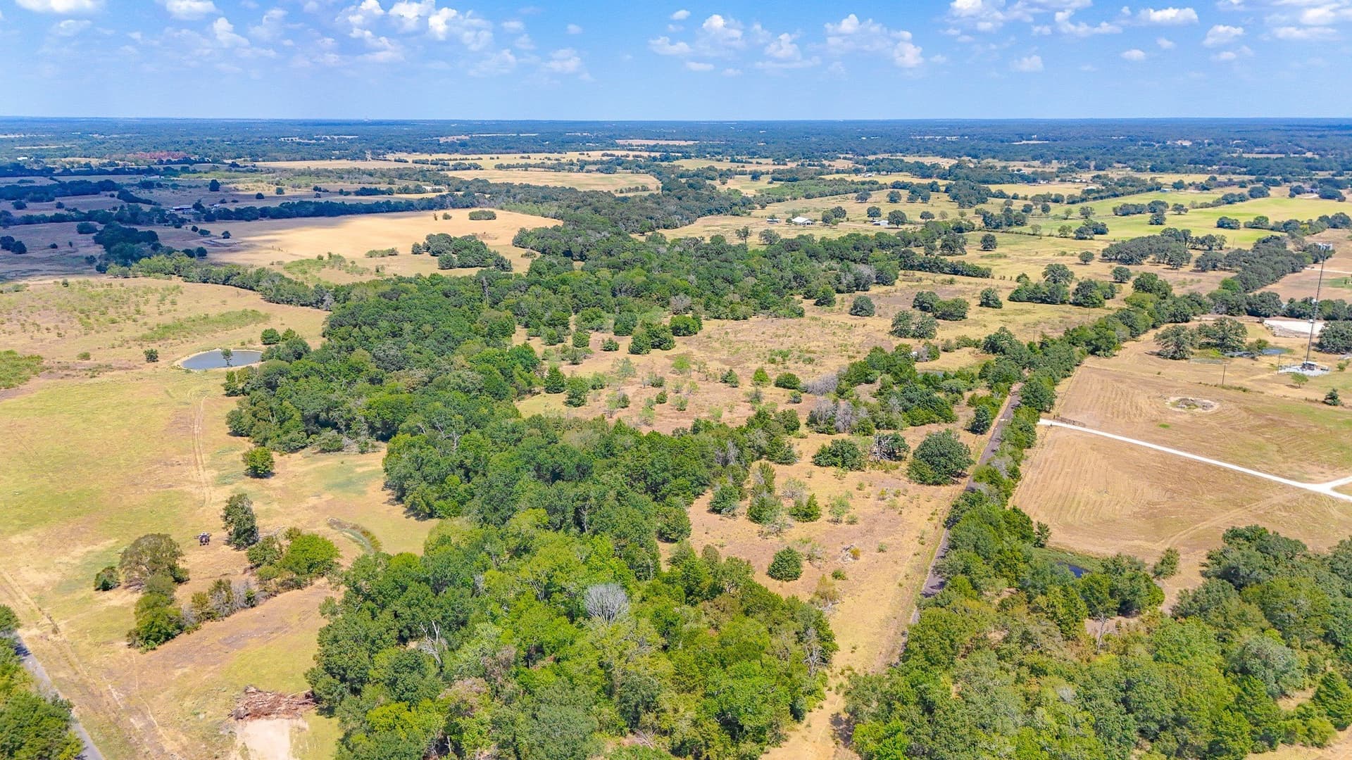 32.58 acres in Limestone County - photo 6