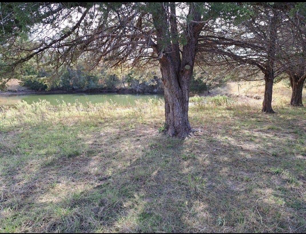 32.58 acres in Limestone County - photo 15