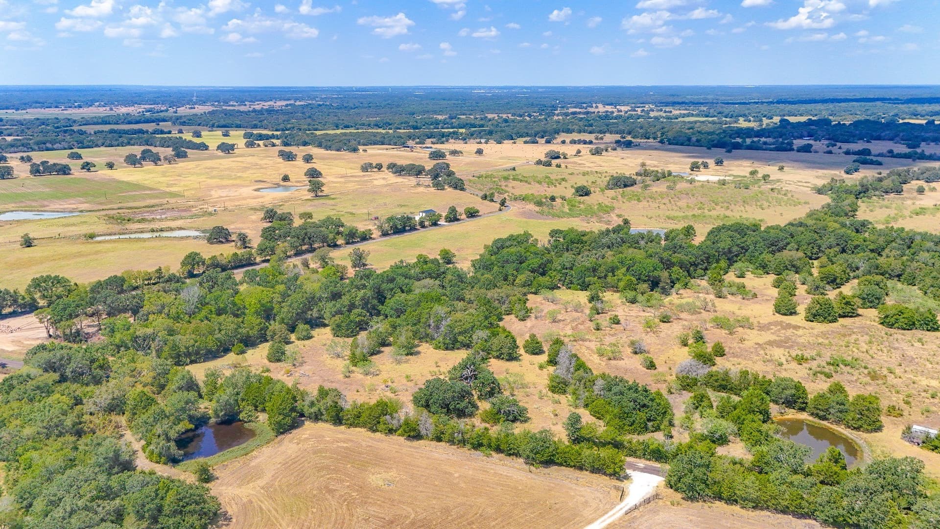32.58 acres in Limestone County - photo 7