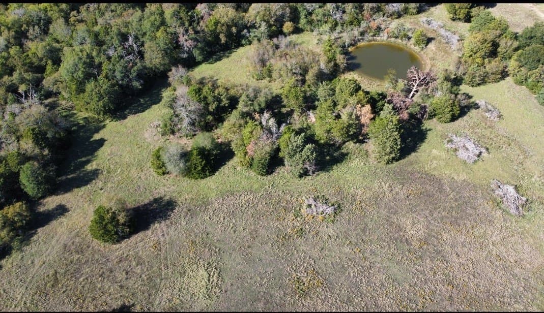 32.58 acres in Limestone County - photo 17