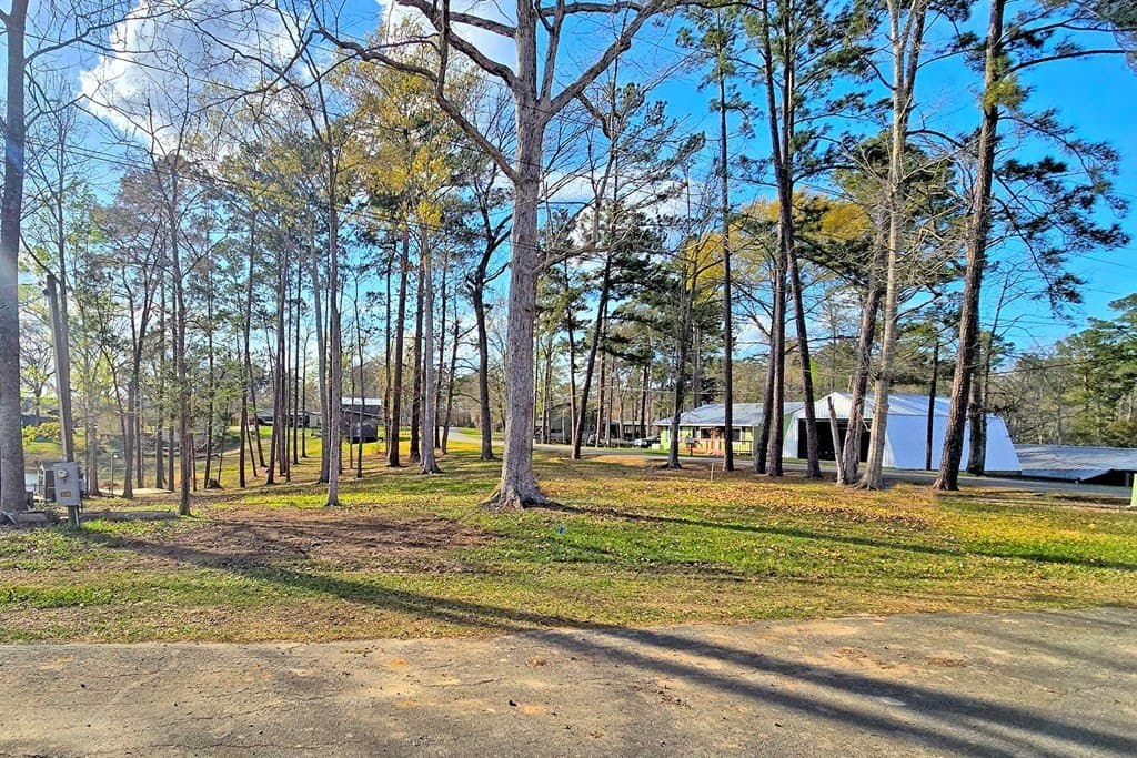 0.25 acres in Texas County - photo 16
