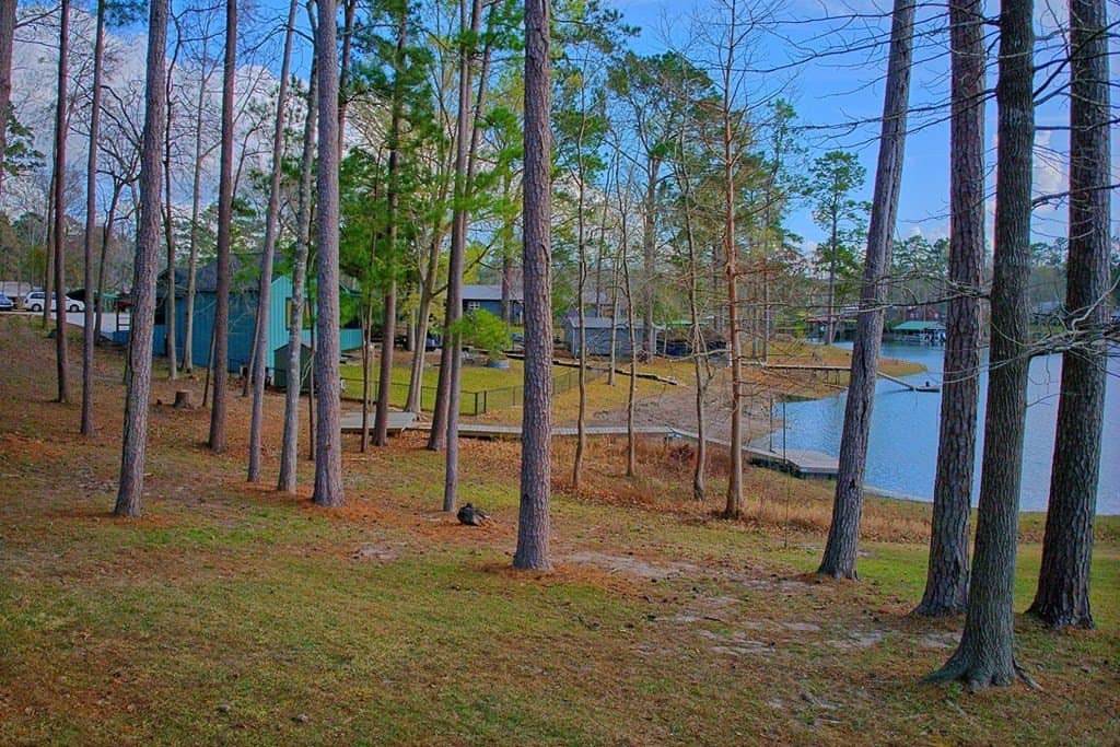 0.25 acres in Texas County - photo 14