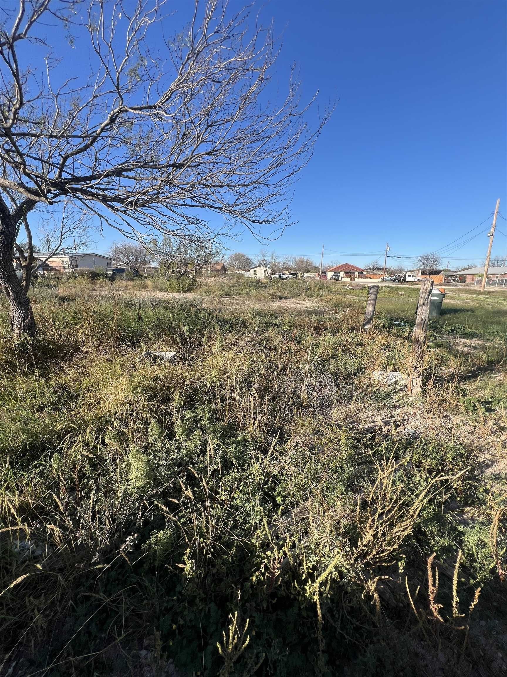 0.43 acres in Val Verde County - photo 4