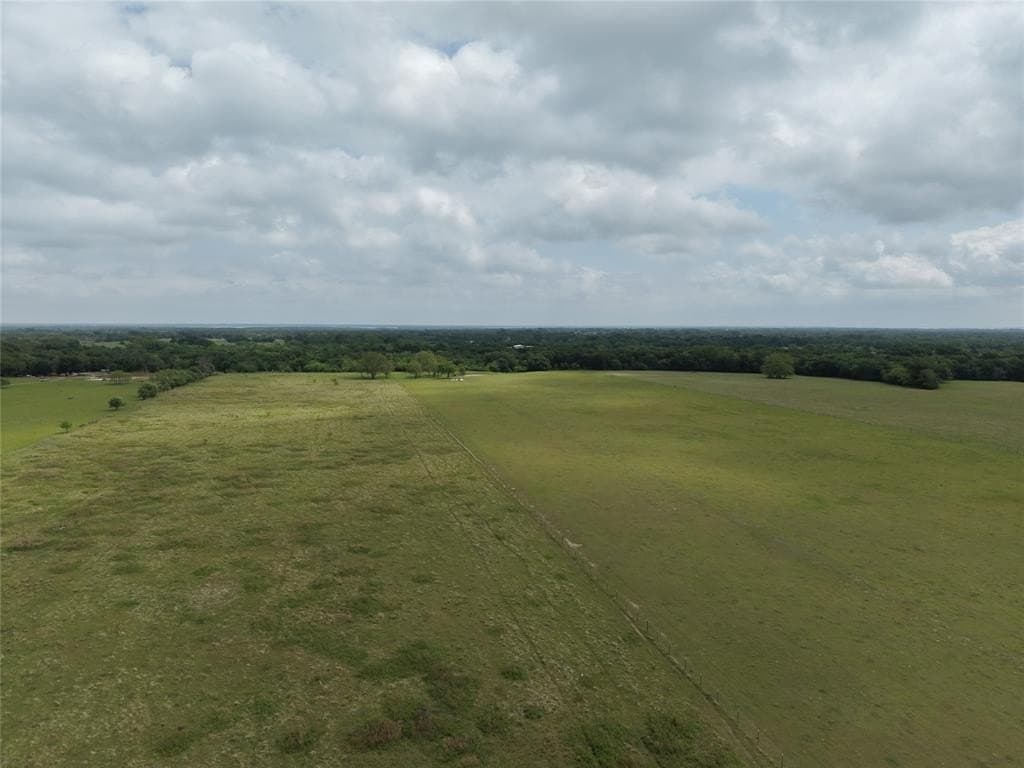 25 acres in Navarro County gallery image 3