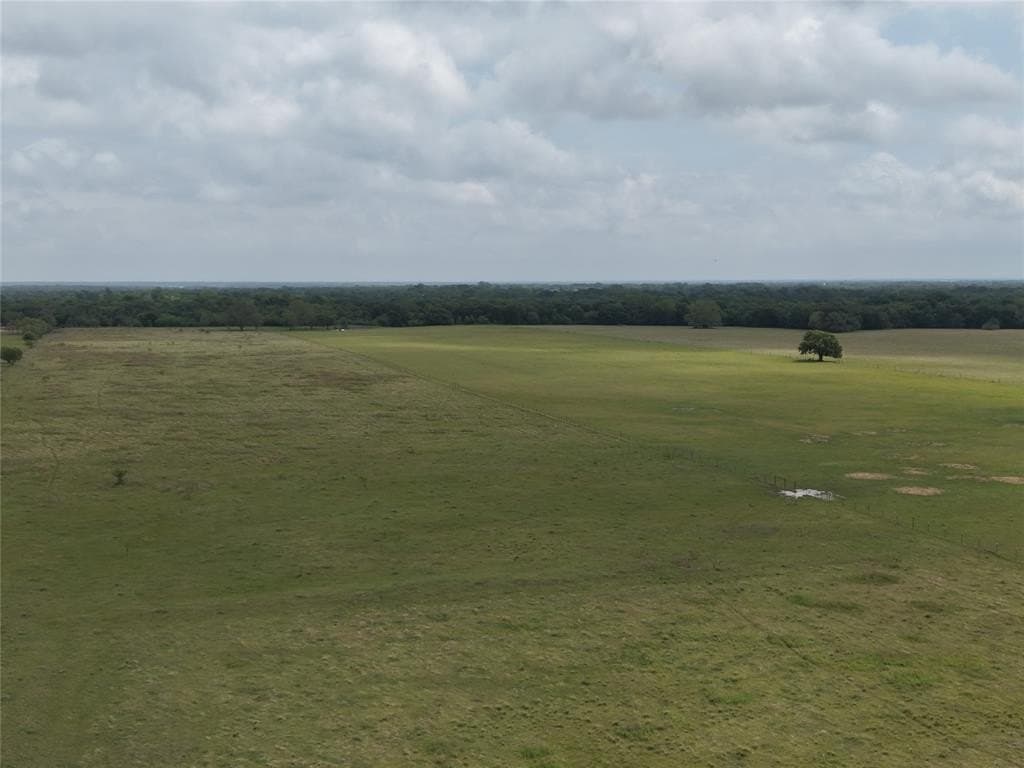 25 acres in Navarro County gallery image 2