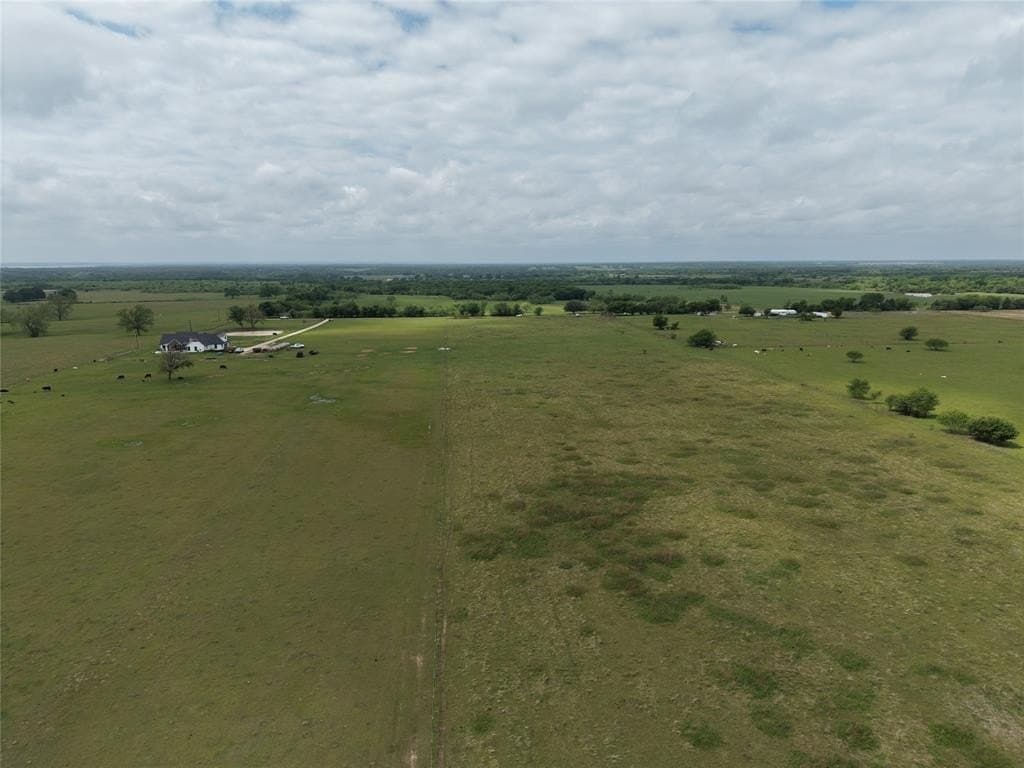 25 acres in Navarro County gallery image 4