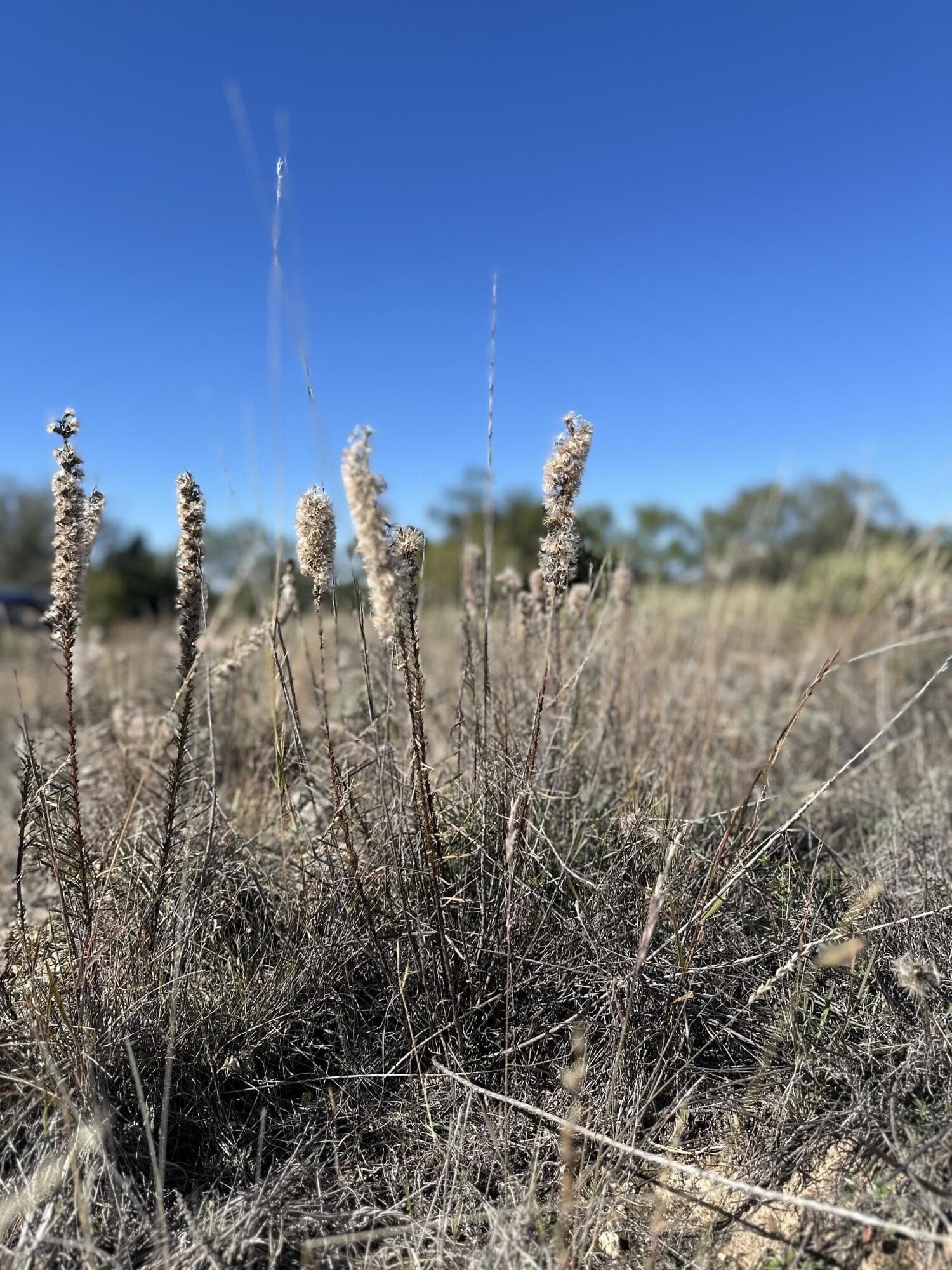 2 acres in Garza County - photo 6