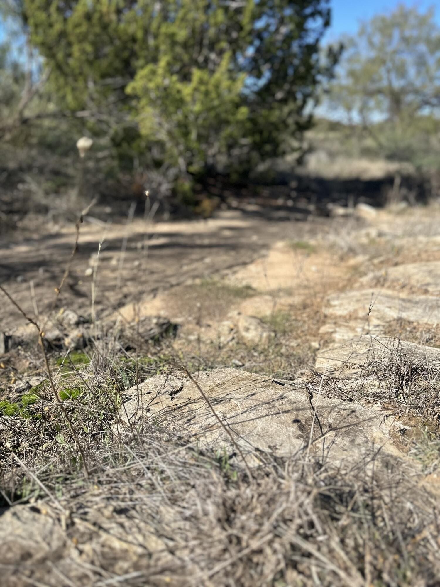 2 acres in Garza County - photo 12