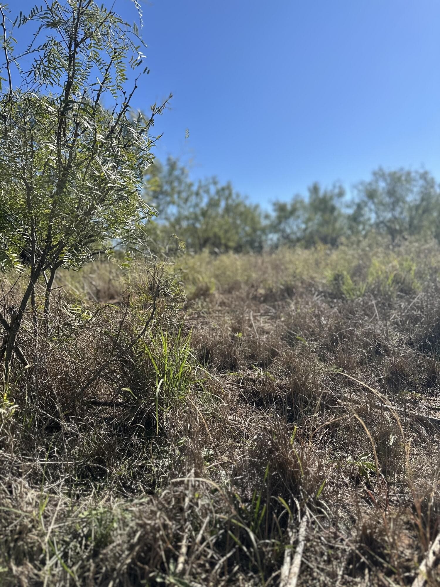 2 acres in Garza County - photo 13