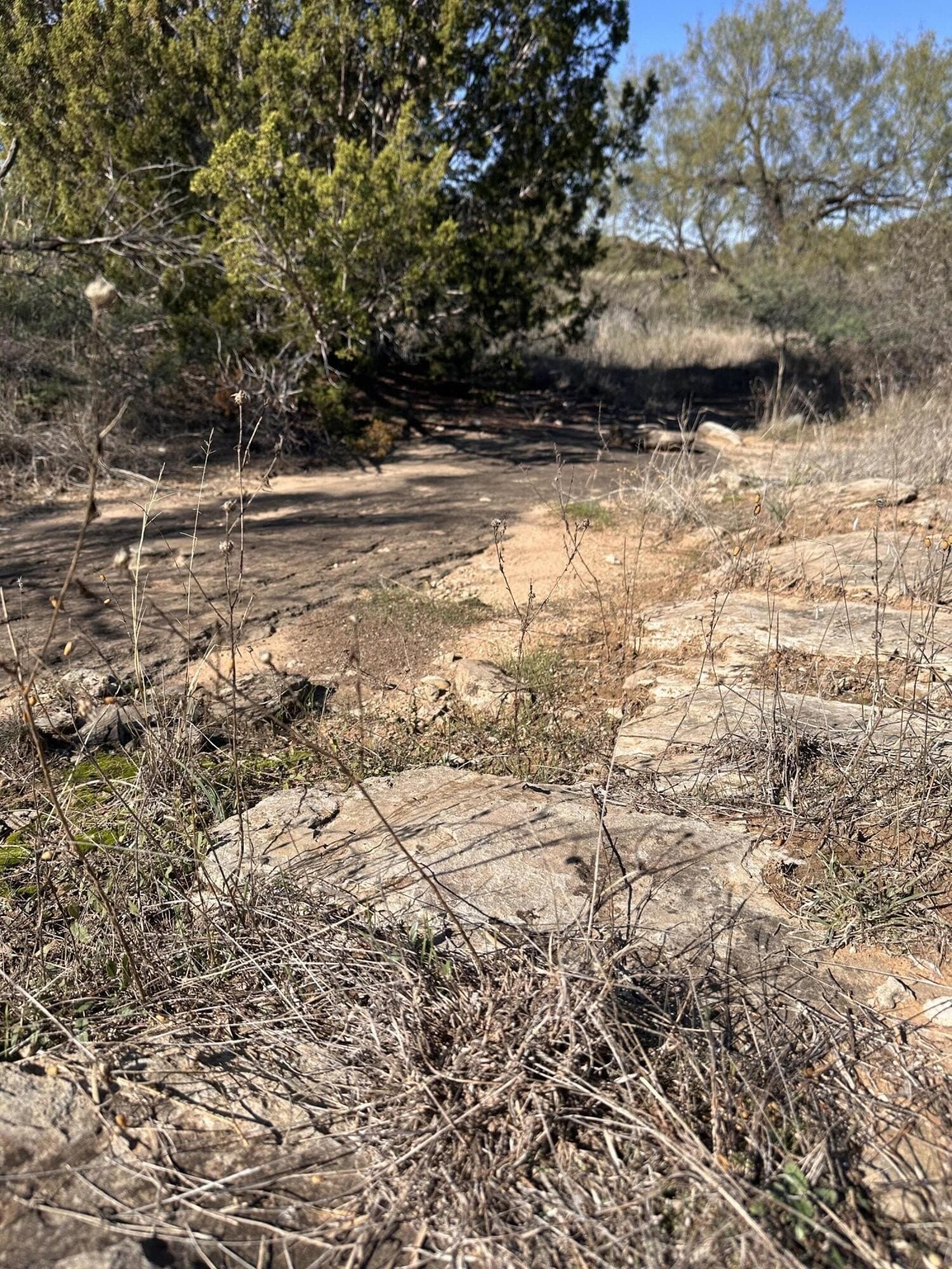 2 acres in Garza County - photo 11