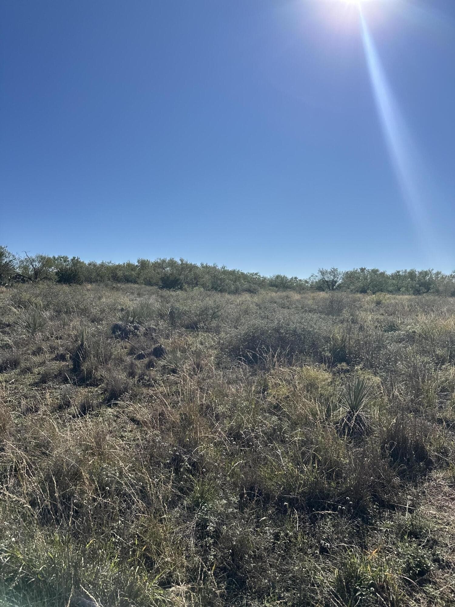2 acres in Garza County - photo 9