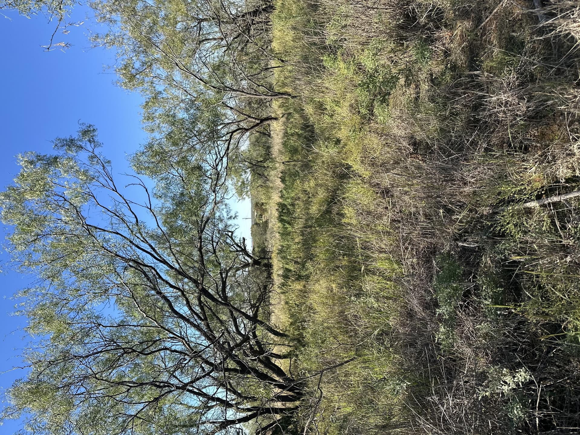 2 acres in Garza County - photo 15