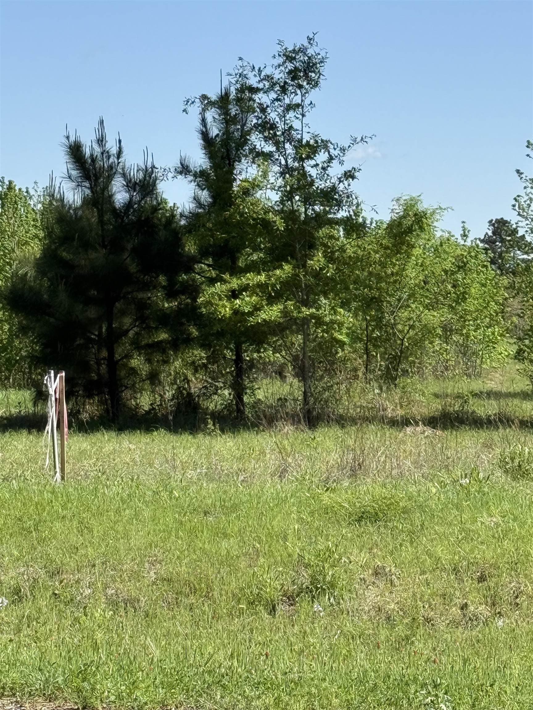 4 acres in Rusk County gallery image 2