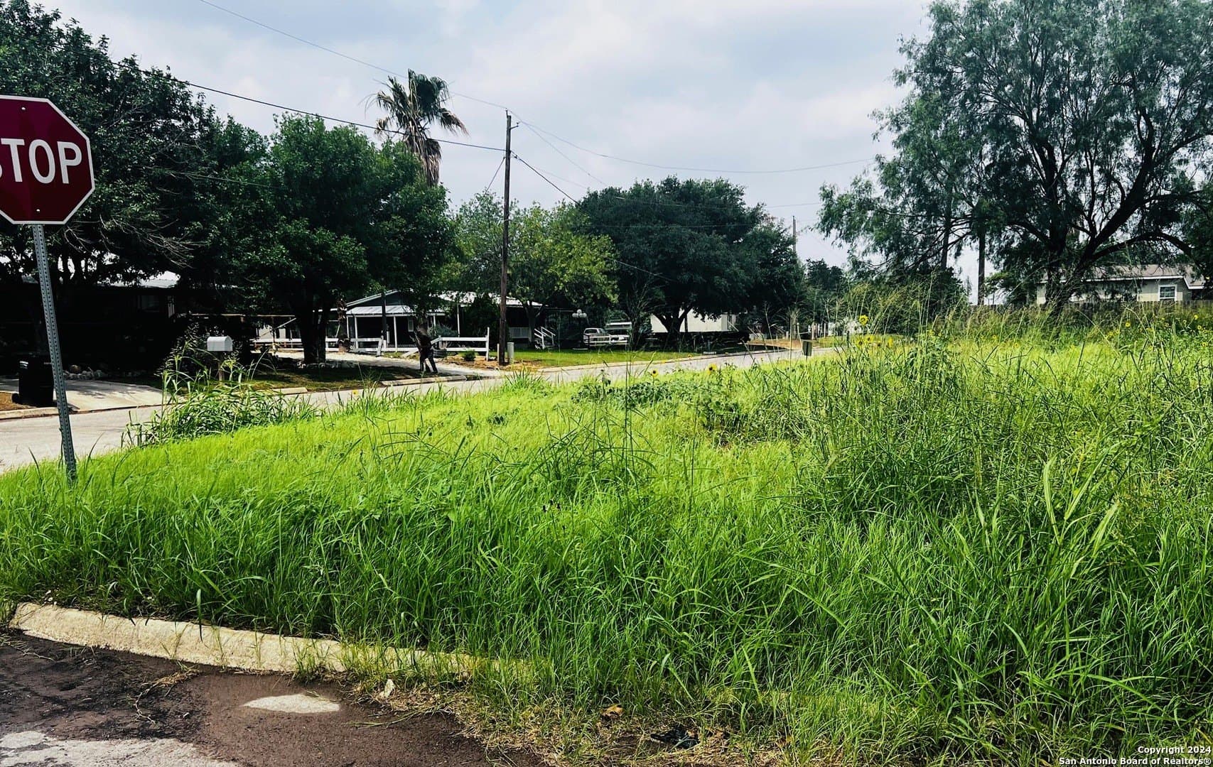 0.24 acres in Frio County - photo 4